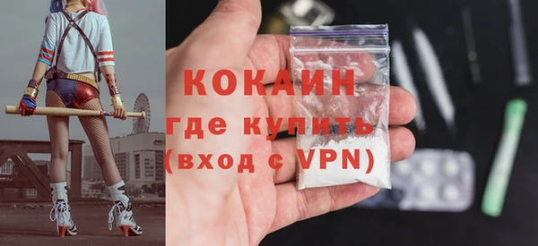 МДПВ Бородино