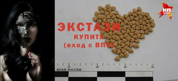 МДПВ Бородино