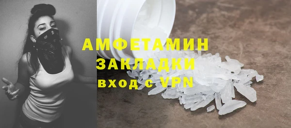 МДПВ Бородино