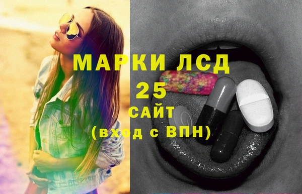 МДПВ Бородино