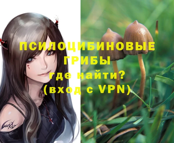 гашик Бугульма