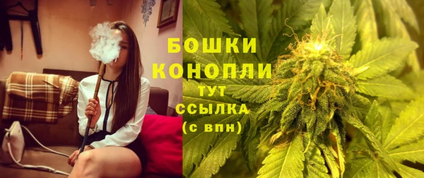 МДПВ Бородино