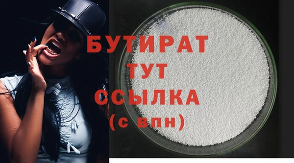 МДПВ Бородино