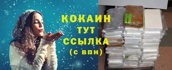 МДПВ Бородино