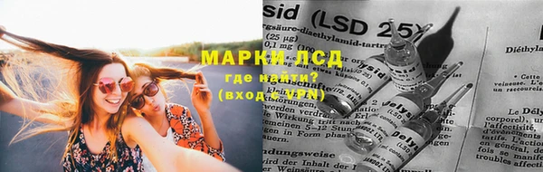 МДПВ Бородино