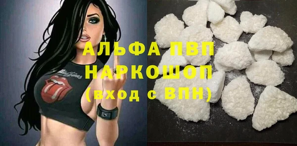 МДПВ Бородино