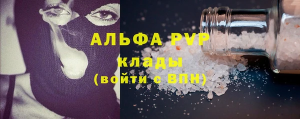 МДПВ Бородино