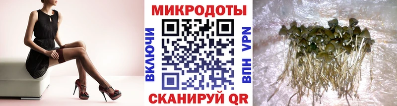 shop наркотические препараты  Буинск  Псилоцибиновые грибы Magic Shrooms 